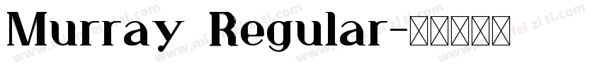 Murray Regular字体转换